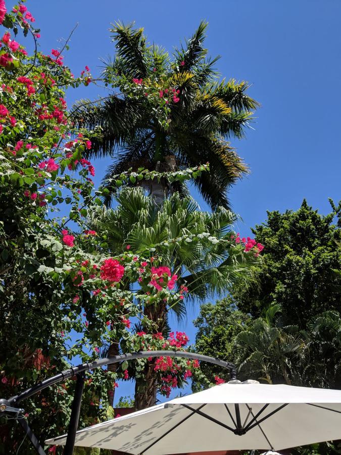 Bed & Breakfast Casa Tres Colibries Merida